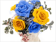 �u���̃C���[�W